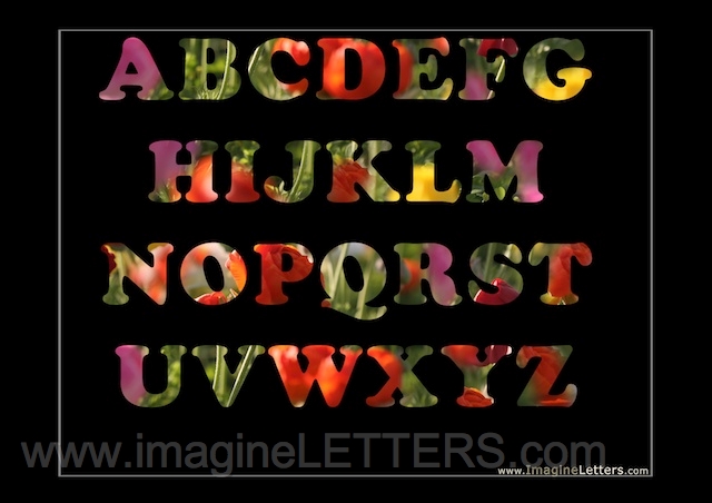 Wall_Art_Alphabet_Photography_Art_ 146.jpg